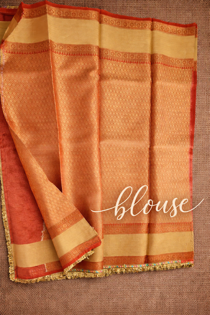 Tissue Banarasi Saree 3 with lace Border