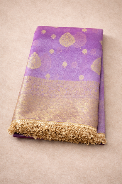 Tissue Banarasi Saree 4 with lace Border