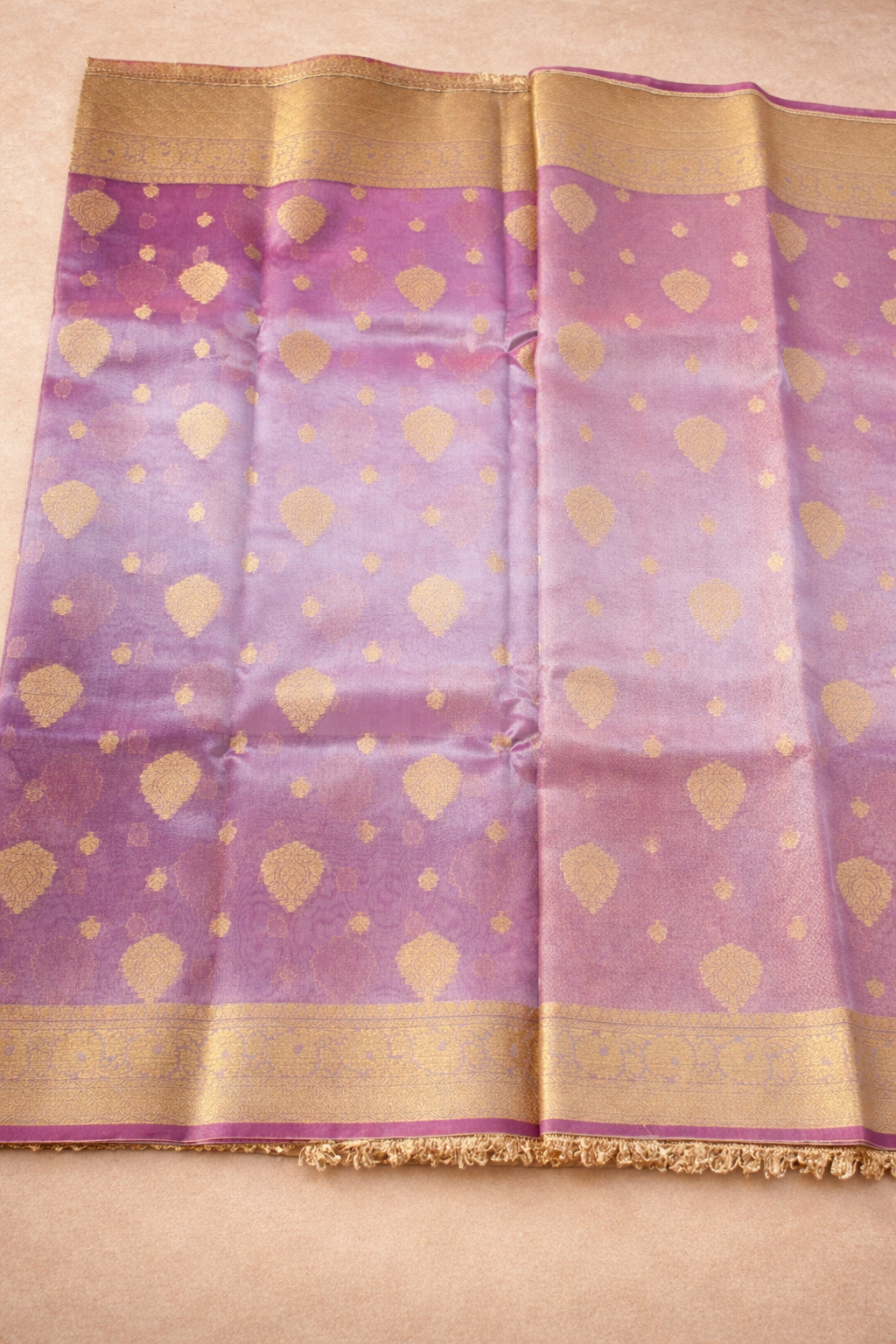 Tissue Banarasi Saree 4 with lace Border