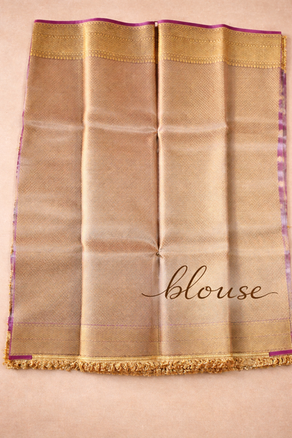 Tissue Banarasi Saree 4 with lace Border