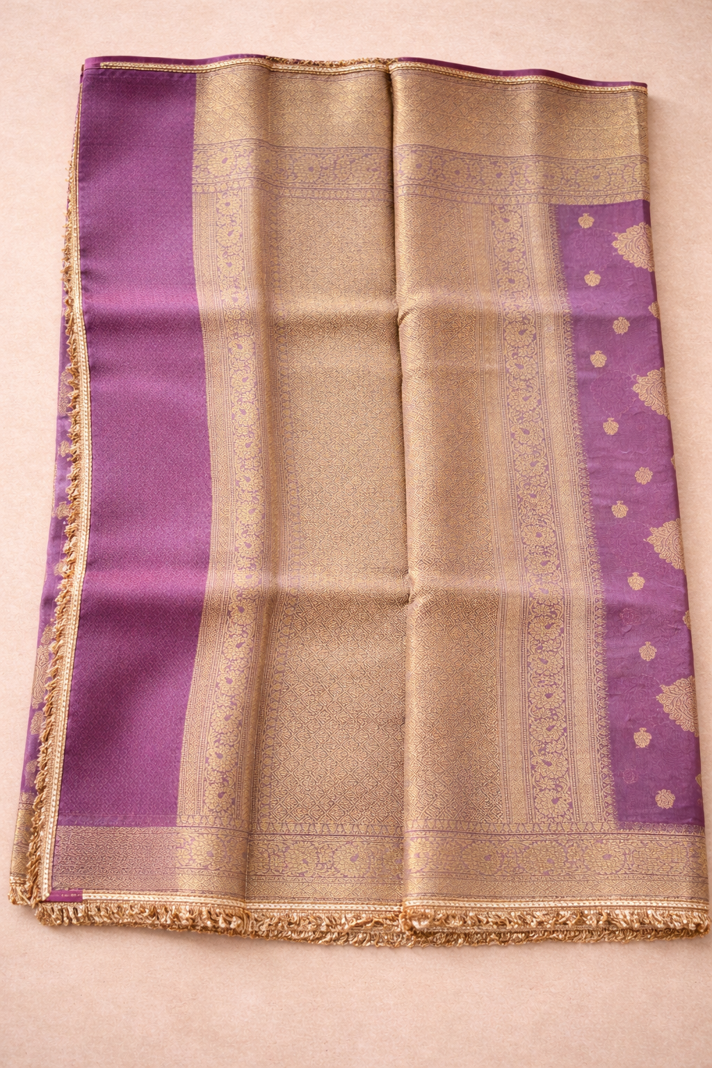 Tissue Banarasi Saree 4 with lace Border