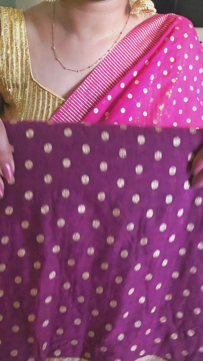 Wine Polka