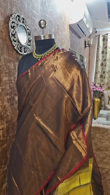 Raga Tissue HandPaint Saree 2