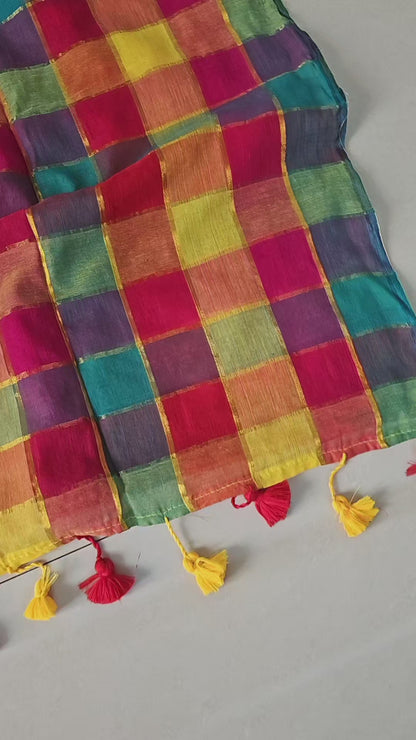 Vibrant - Check Saree