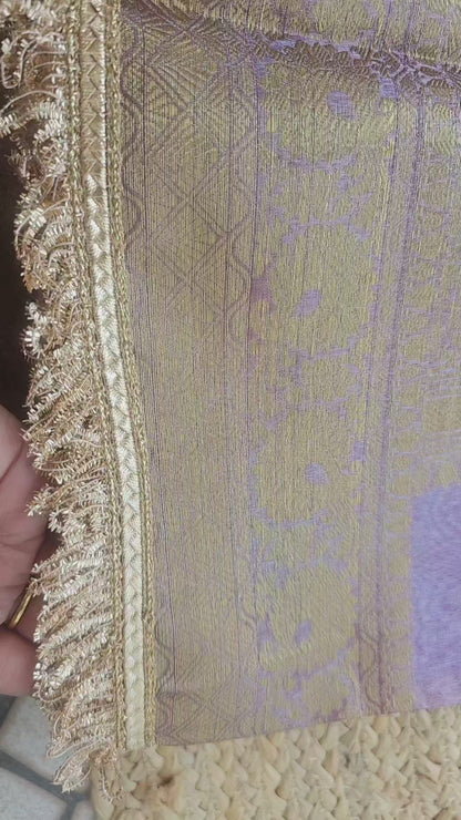 Tissue Banarasi Saree 4 with lace Border