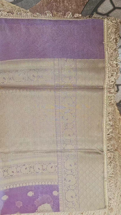 Tissue Banarasi Saree 4 with lace Border