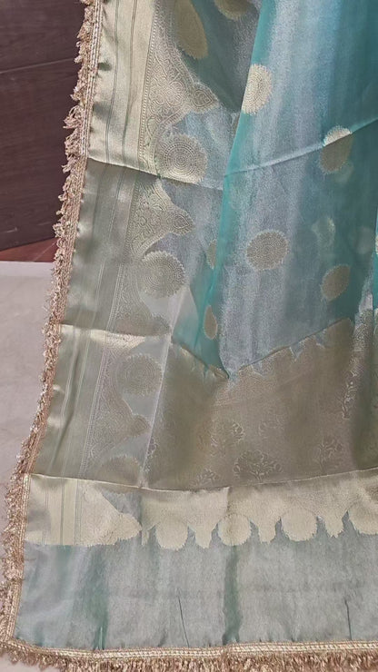 Tissue Banarasi Saree 1 with lace Border