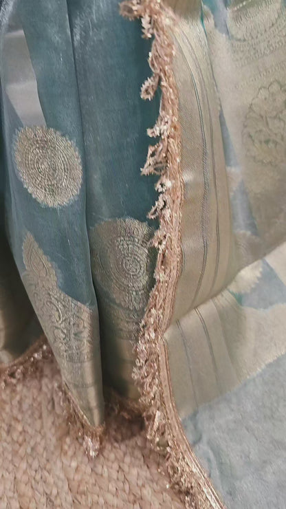 Tissue Banarasi Saree 1 with lace Border